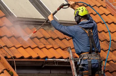Démoussage et hydrofuge de toiture à Menton